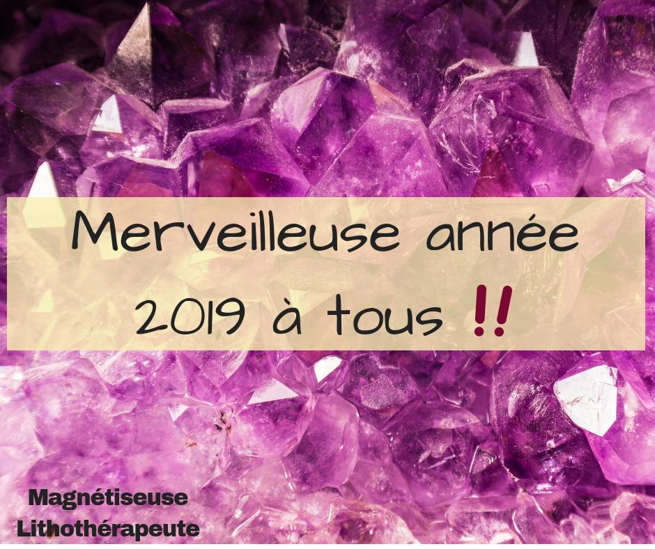 Mes Voeux 2019